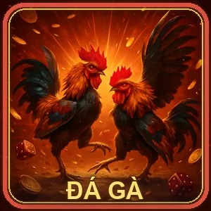 Đá gà cựa dao và cựa sắt