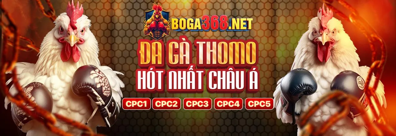 Hình ảnh chính Blog topzo win